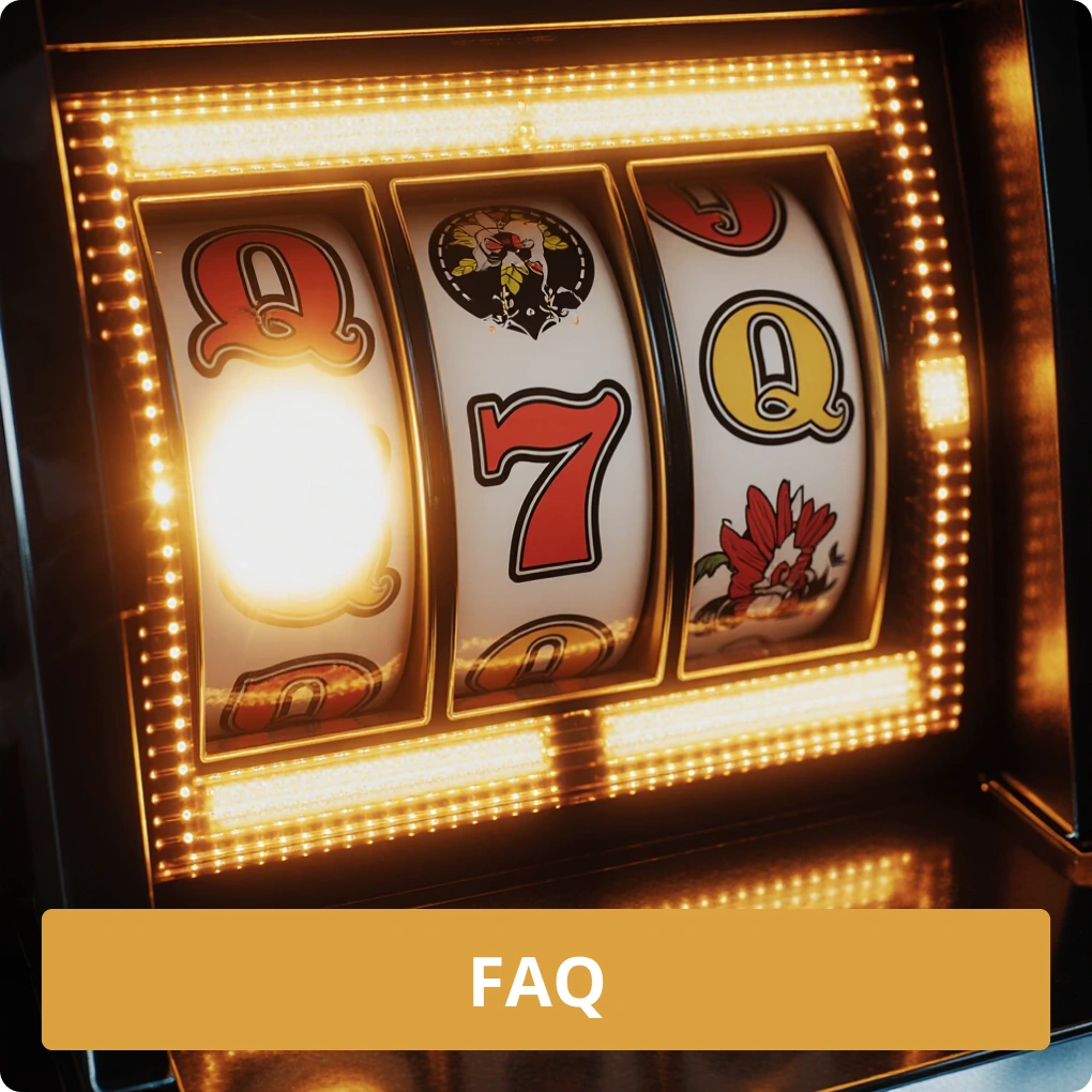 FAQ – 자주 묻는 질문 모음 FAQ